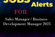 Best job for Sales Manager / Business Development Manager 2025