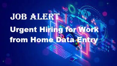 Work from Home Data Entry