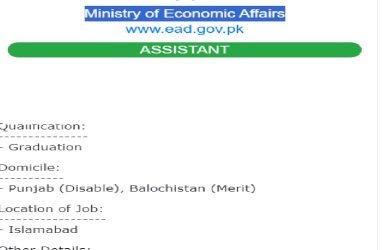 Assistant